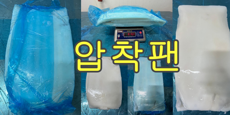 무라 > 몸 > 4KG UP 2