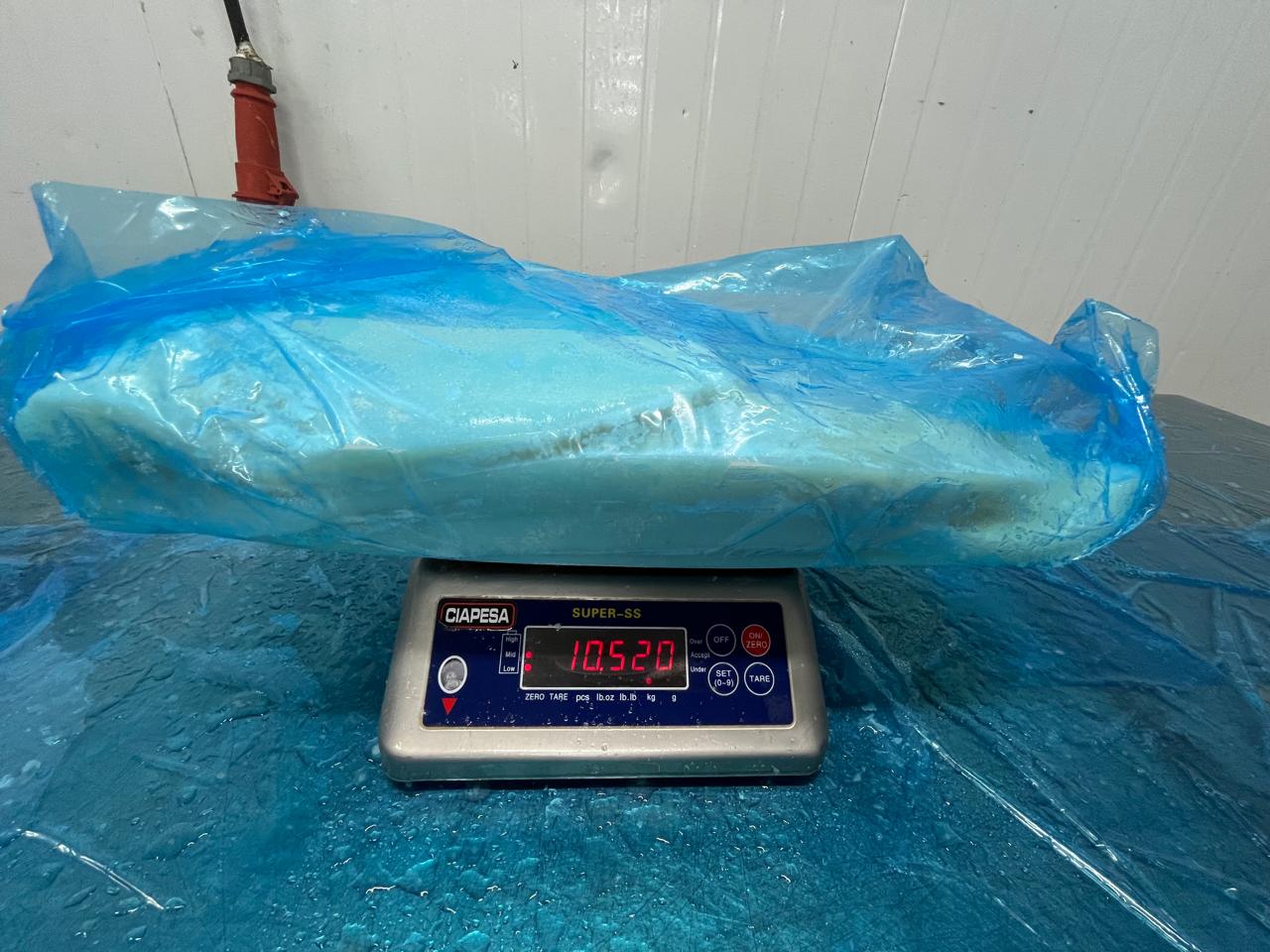무라 > 몸 > 4KG UP 8